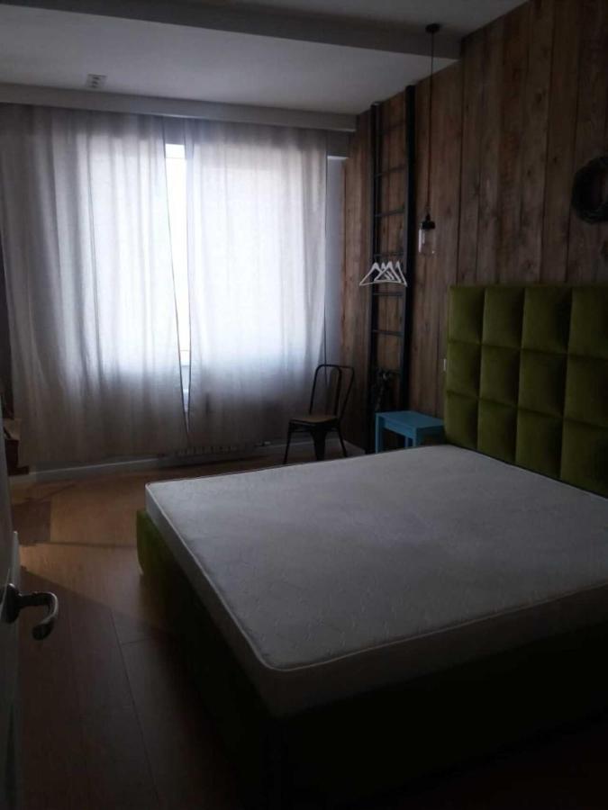 アルマトイManica Gagarin Parkアパートメント 部屋 写真